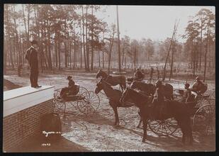 Park in the Pines, Aiken S.C.