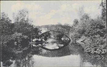 Vine Arch Bridge, Central Park