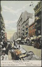 Mulberry Street, New York.