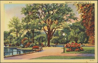 Prospect Park, Brooklyn, N. Y.