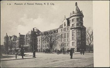 Museum of Natural History, N. Y. City.