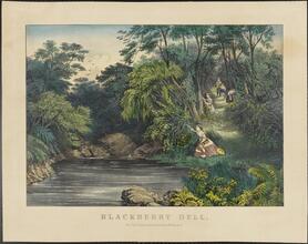 Blackberry Dell 
