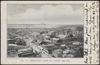 Bird's - Eye View of Coney Island.