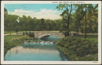 Along the Bronx River Parkway