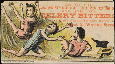 Go to the Astor House and Ask for Celery Bitters