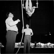 Circus [Trapeze artist.]