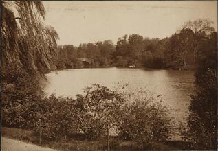 [Two views of Central Park.]