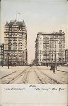 Hotels: "The Netherland" "The Savoy." New York.