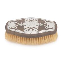 Brush