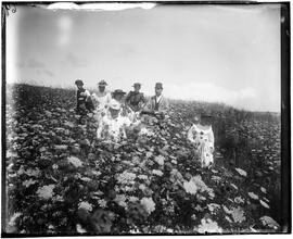 Shelter Island; Coming through the Fields.