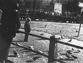 Untitled [Boy feeding pigeons, Union Square]