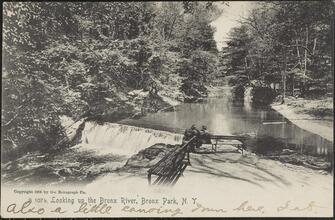 Looking up the Bronx River, Bronx Park, N. Y.