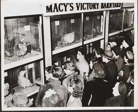Macy's selling chickens in cages