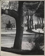 April Day in Central Park
