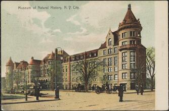 Museum of Natural History, N. Y. City.
