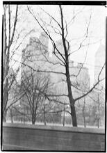 Central Park South