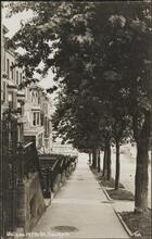 Walk on 147th St., New York