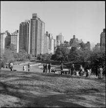 [Central Park.]