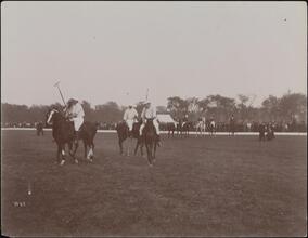 Sports, Polo, Prospect Park.