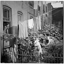 [Rooftop Gardens.]