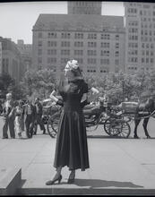 New York Street Views--"Chameleon Model"