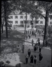 Brooklyn Nobody Knows [Erasmus Hall High School.]