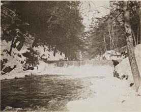 [Bronx River Falls.]