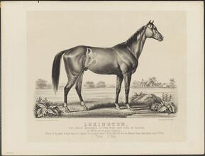 Lexington.