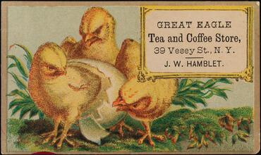 Great Eagle Tea and Coffee Store
