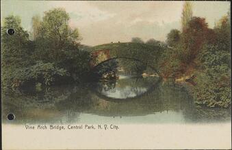 Vine Arch Bridge, Central Park, N. Y. City.