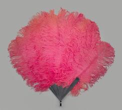 Folding feather fan of cerise ostrich