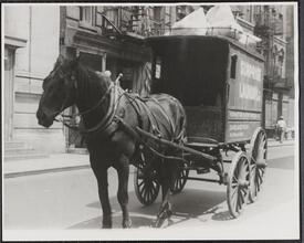 [Horse pulling a laundry cart.]