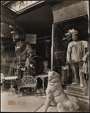 Sumner Healey Antique Shop