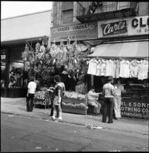 [Flower shop, 172 Orchard Street.]
