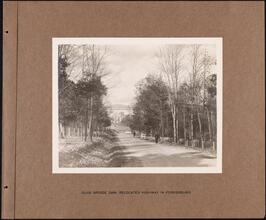 Olive Bridge Dam, Relocated Highway in Foreground [Catskill System.]