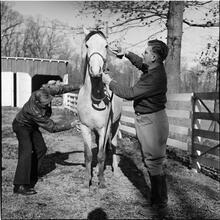 Arthur Godfrey [Godfrey with a horse.]