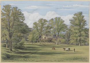 Lane Cottage, Hell Gate, N.Y. 1854.
