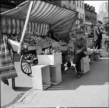 Pushcarts.