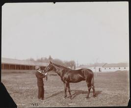 Racehorses, "Kennebunk."