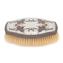 Brush