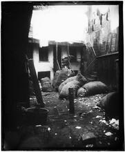 Bottle Alley, Baxter Street.