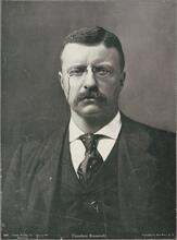 Theodore Roosevelt