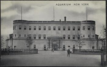 Aquarium, New York
