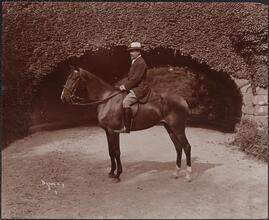 Horses, Mr. R.H. Halstead and Friends Riding and Driving in Central Park.