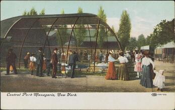 Central Park Managerie, New York.
