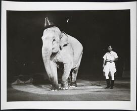 [Elephant with a trainer at a circus.]