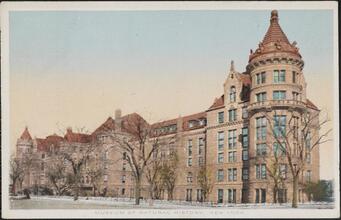 American Museum of Natural History, New York.