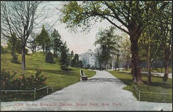 View in the Botanical Garden, Bronx Park, New York.