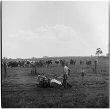 [Farm.]