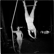 Circus [Trapeze artist.]